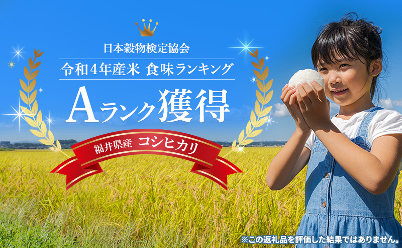 米 令和7年 コシヒカリ 5kg 一等米 お米 おこめ こめ コメ 白米 精米 新米 ご飯 ごはん 山心ファーム 福井県 福井