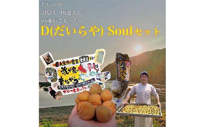三代目 D Soul セット　目白大学の学生が考案、その9 梅干し 魚貝類 加工食品 