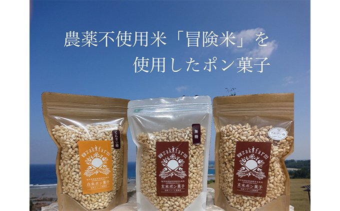 赤ちゃんやペットも食べられる！贈り物にもピッタリ！若狭おやつセット　　目白大学の学生が考案、その3 和菓子 スイーツ お菓子 ゼリー ジュレ ジャム お菓子セット 