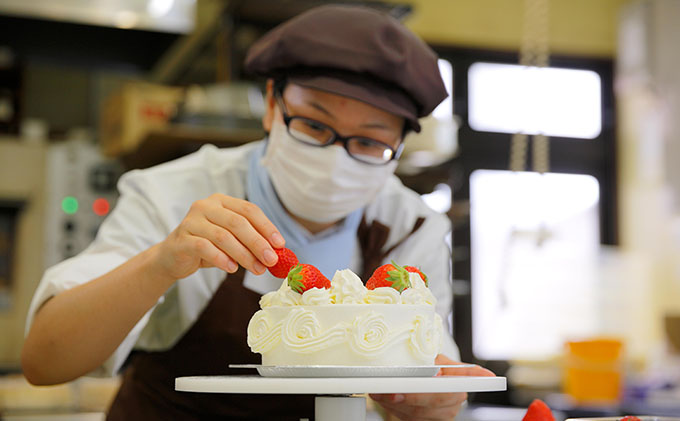 写真ケーキ8号サイズ 引換券 チケット / 静岡県浜松市 | セゾンの