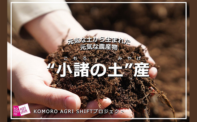 フロランタンと玄米珈琲のセット 飲料類 コーヒー フランスの菓子 お菓子 