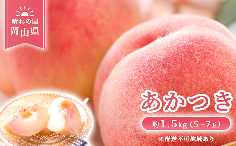 【 2026年 先行予約】 桃 岡山県産 あかつき 約1.5kg(5～7玉) 《2026年7月上旬-中旬頃出荷》 白桃 岡山 はくとう スイーツ フルーツ 果物 先行予約 数量限定 期間限定 岡山 里庄町 モモ もも 桃 