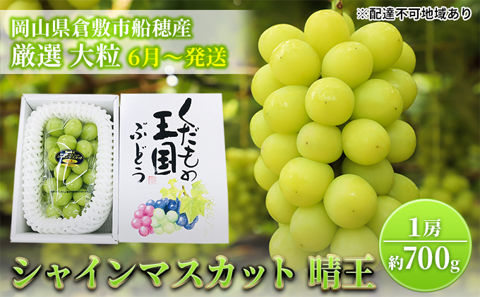 yRzy2026Ns\z Ԃǂ RY VC}XJbg  I 1[ 700g [ R q~s DY s2026N6{-7{oׁt  uhE t[c ʕ XC[c ʌ Ԍ 