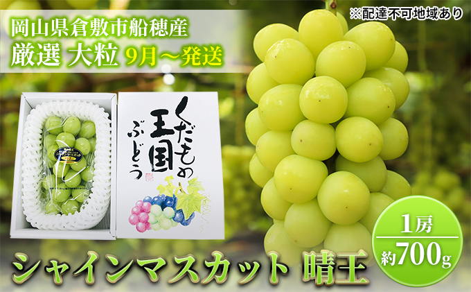 yRzy2026Ns\z Ԃǂ RY VC}XJbg  I 1[ 700g [ R q~s DY s2026N9{-10{oׁt  uhE t[c ʕ ʌ Ԍ 