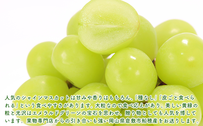 【2026年先行予約】 ぶどう 岡山県産 シャインマスカット 晴王 厳選 1房 約700g 大房 岡山県 倉敷市 船穂産 《2026年6月中旬-7月上旬頃出荷》 葡萄 ブドウ フルーツ 果物 スイーツ 数量限定 期間限定 里庄町 