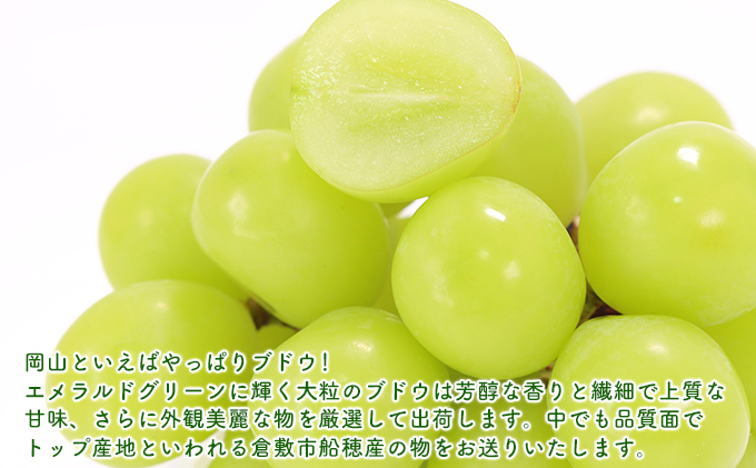【2026年先行予約】 ぶどう 岡山県産 マスカット ・オブ・ アレキサンドリア 厳選 1房 約700g 大房 岡山県 倉敷市 船穂産 《2026年7月中旬-下旬頃出荷》 葡萄 ブドウ フルーツ 果物 数量限定 里庄町 