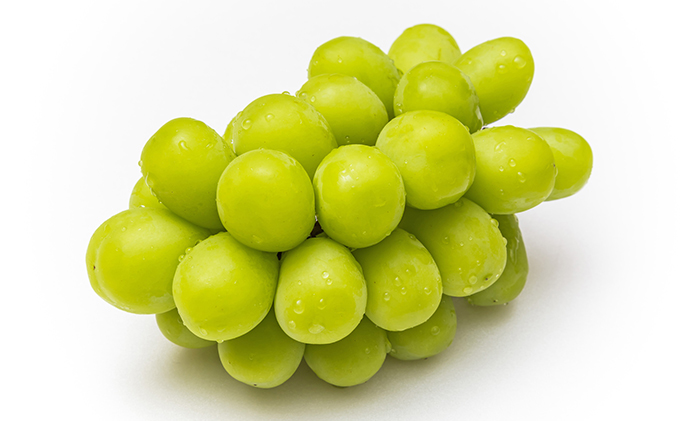 【2026年先行予約】 ぶどう 岡山県産 マスカット ・オブ・ アレキサンドリア 厳選 1房 約700g 大房 岡山県 倉敷市 船穂産 《2026年7月中旬-下旬頃出荷》 葡萄 ブドウ フルーツ 果物 数量限定 里庄町 