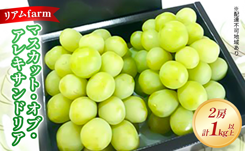 yRzy2026Ns\z Ԃǂ RY }XJbgEIuEALThA 2[iv1kgȏj s2026N7{-{oׁt  uhE t[c ʕ XC[c ʌ Ԍ  A farm