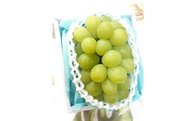 【 2026年 先行予約】 ぶどう 岡山県産 マスカット・オブ・アレキサンドリア 1房（600g以上） 《2026年7月上旬-下旬頃出荷》 葡萄 ブドウ フルーツ 果物 スイーツ 数量限定 期間限定 里庄町 リアム farm