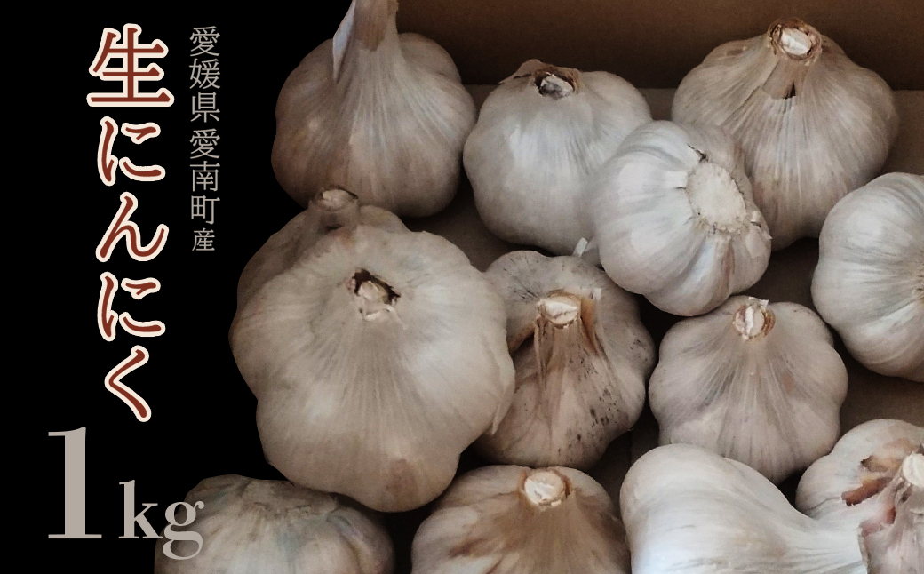 石川ファームの愛南町産にんにく 1kg 発送: 5月20日～11月30日