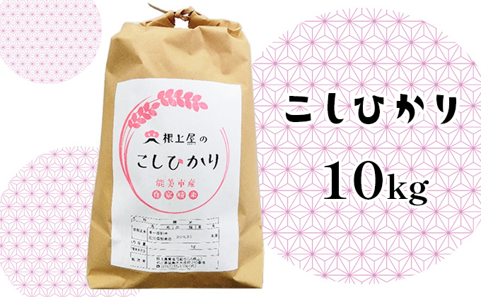 根上屋のこしひかり 10kg お米 コシヒカリ 米 