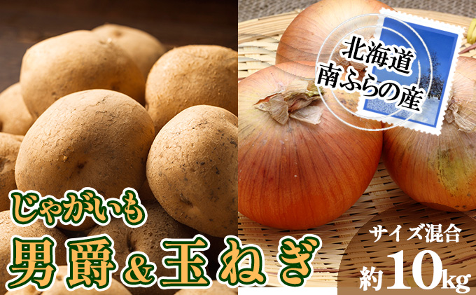 南ふらの産 じゃがいも 男爵 ＆ 玉ねぎ 約10kg 【サイズ混合】2025年発送 先行予約 北海道 南富良野町  玉葱 玉ネギ 玉ねぎ ネギ ねぎ じゃがいも ジャガイモ 先行予約 