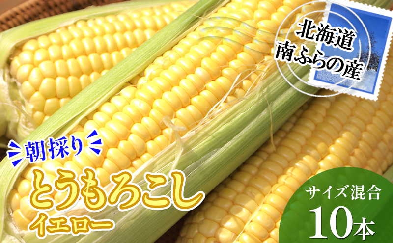 ykCxǖ쒬zӂ̎Y ̂ Ƃ낱 (CG[)yTCYz10{ kC xǖ쒬 gERV Ƃ gELr 2026N s\  12{ R[