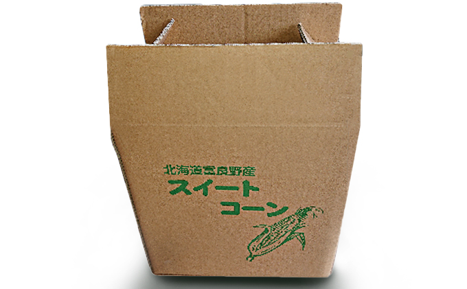 北海道南富良野町のふるさと納税 南ふらの産 朝採り とうもろこし (イエロー)【サイズ混合】10本 北海道 南富良野町 トウモロコシ とうきび トウキビ 2025年発送 先行予約 野菜 12本 コーン