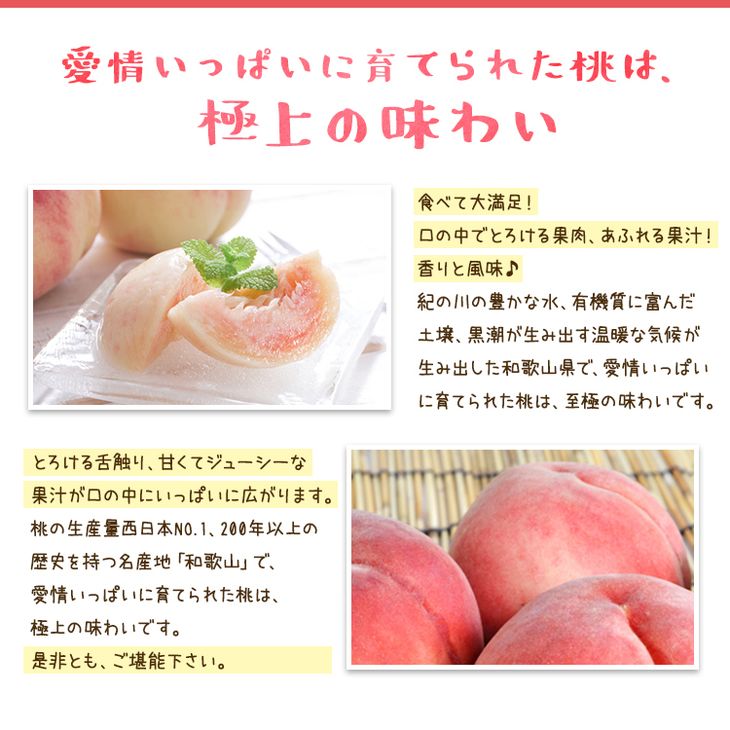 【先行予約】【夏の美味】フルーツ王国 和歌山の桃 約4kg 化粧箱入り | もも モモ 桃 国産 フルーツ 果物 果実 お取り寄せ ギフト デザート スイーツ 贈り物（fr-07）