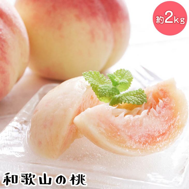 【和歌山県美浜町】【先行予約】【夏の美味】フルーツ王国 和歌山の桃 約2kg 化粧箱入り | もも モモ 桃 国産 フルーツ 果物 果実 お取り寄せ ギフト デザート スイーツ 贈り物(fr-06)