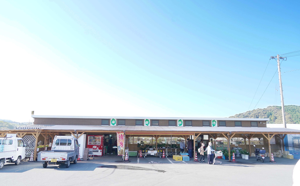 6回お届け　季節の旬野菜詰合せ