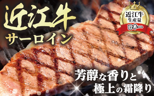 近江牛A5ランクサーロインステーキ【400g】【DG07W】