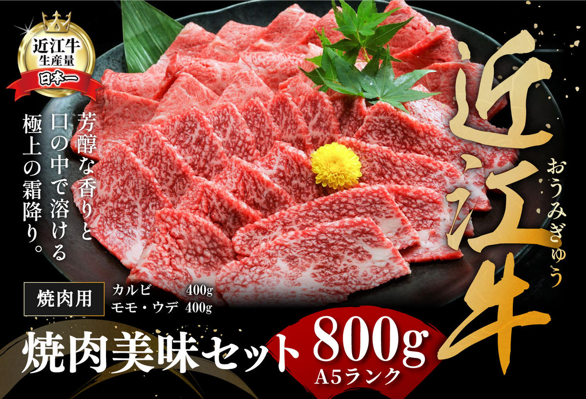【2月末までに発送】近江牛A5ランク焼肉美味セット【800g】【DG10W-2m】