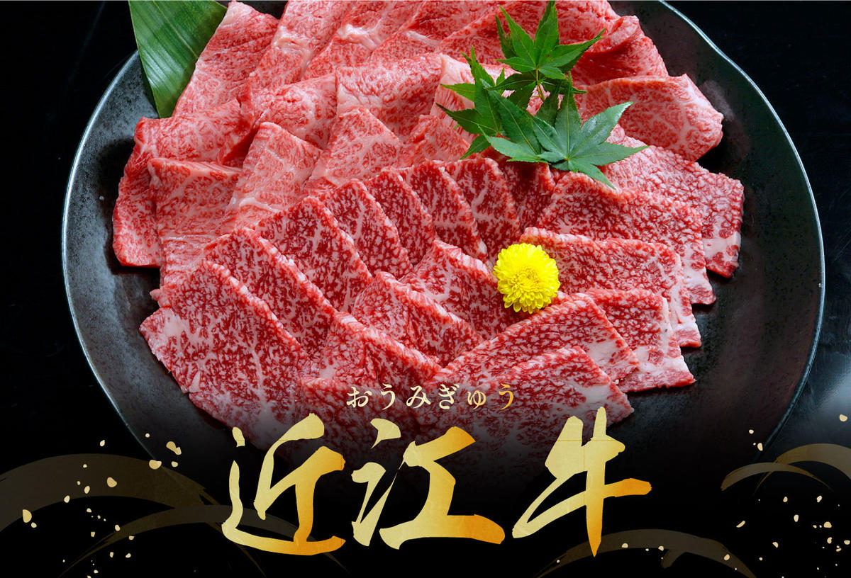 【2月末までに発送】近江牛A5ランク焼肉美味セット【800g】【DG10W-2m】