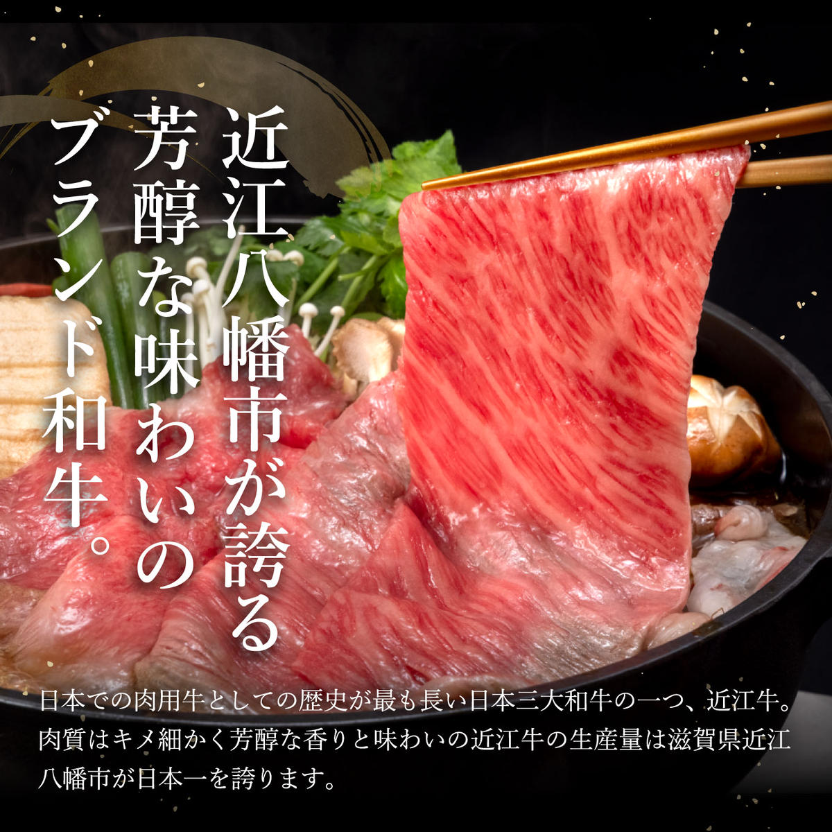 近江牛A5ランク焼肉・すき焼セット【800g】【DG11W】