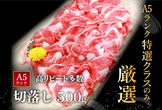 【年内発送】近江牛A5ランク切落し【500g】【訳あり】【DG12W】