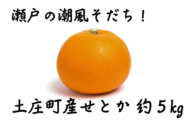 【香川県土庄町】【 小豆島 】小豆島せとか 約5kg 柑橘 果物 せとか フルーツ ジューシー フレッシュ くだもの 国産 香川 香川県 土庄 土庄町