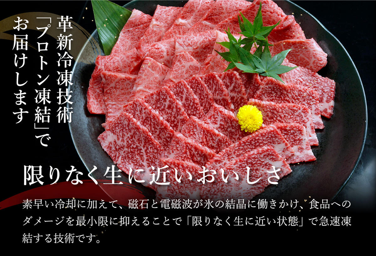 【2月末までに発送】近江牛A5ランク焼肉美味セット【800g】【DG10W-2m】