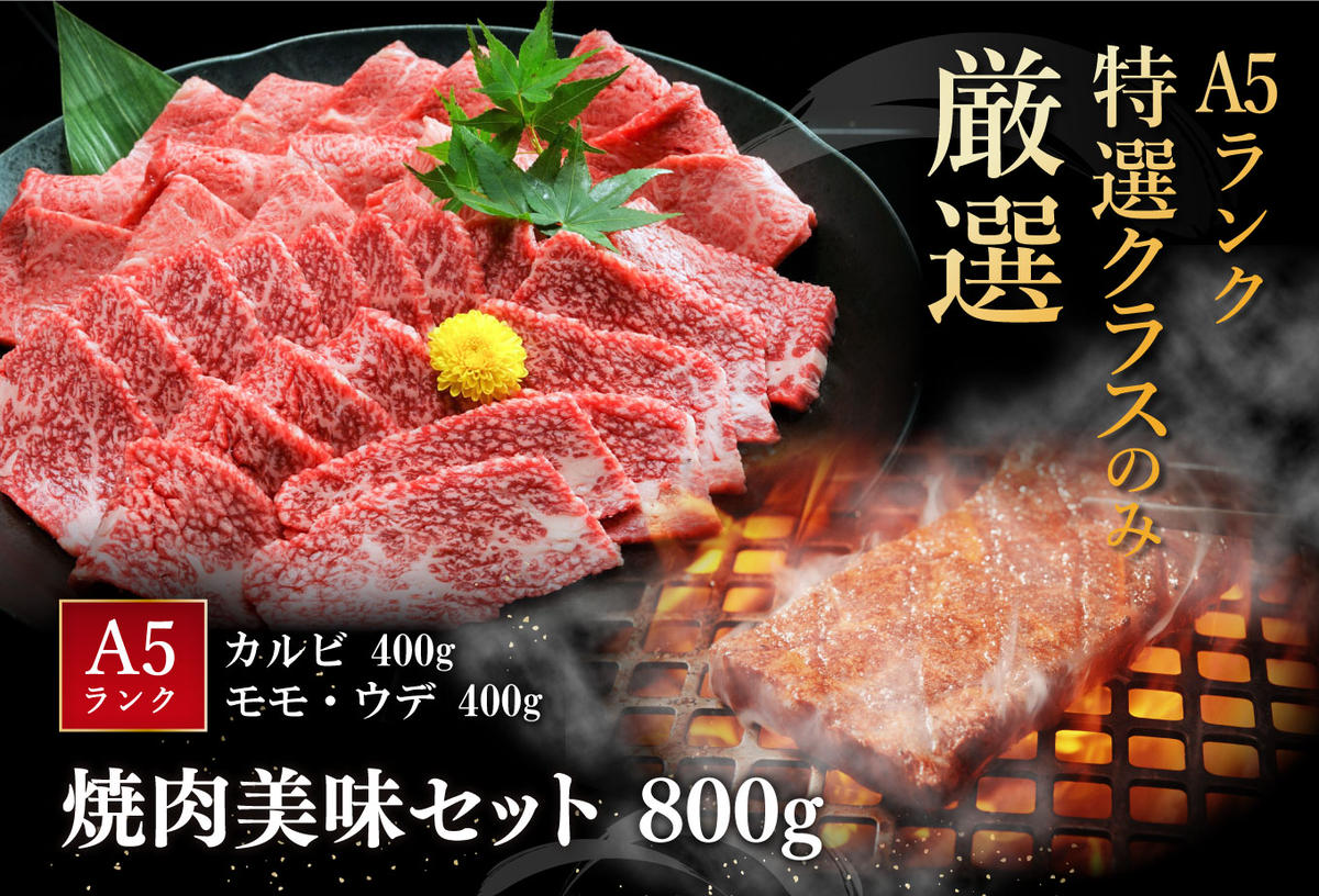 【2月末までに発送】近江牛A5ランク焼肉美味セット【800g】【DG10W-2m】