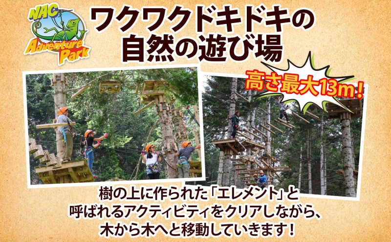 【CF】NACアドベンチャーパーク大人1日券ペアセット 体験チケット 