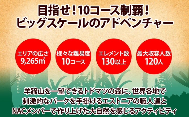 【CF】NACアドベンチャーパーク大人1日券ペアセット 体験チケット 