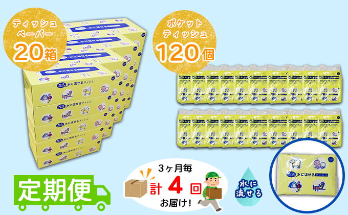 【CF】【定期便】3カ月毎 計4回 とけまるくんティッシュ 20箱＆ とけまるくんポケットティッシュ 120個 セット まとめ買い 大容量 雑貨 日用品 生活用品 備蓄 箱 紙 ボックス 福祉用品 