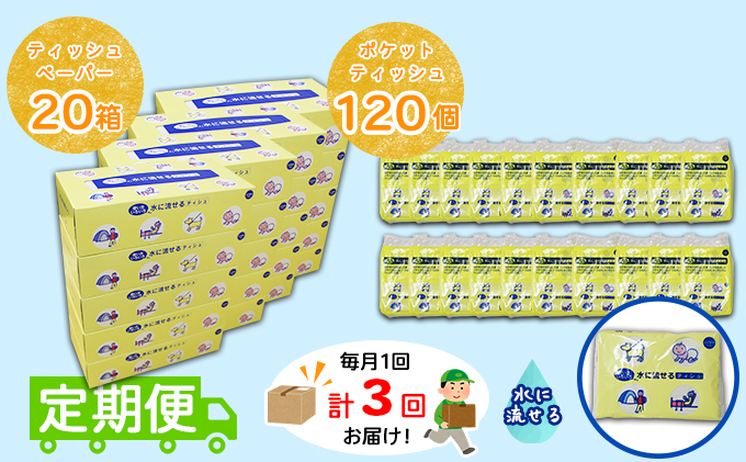 【CF】【定期便】毎月1回 計3回 とけまるくんティッシュ 20箱＆とけまるくんポケットティッシュ 120個 セット まとめ買い 大容量 雑貨 日用品 生活用品 備蓄 箱 紙 ボックス 福祉用品 