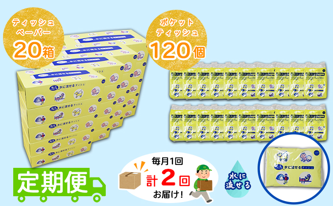 【CF】【定期便】毎月1回 計2回 とけまるくんティッシュ 20箱＆とけまるくんポケットティッシュ 120個 セット まとめ買い 大容量 雑貨 日用品 生活用品 備蓄 箱 紙 ボックス 福祉用品 