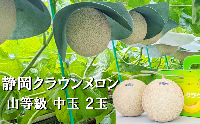 クラウンメロン【上（山等級）】中玉（1.3kg前後）2玉入り人気 厳選 ギフト 贈り物 デザート グルメ 果物 袋井市 果物類 メロン青肉 フルーツ