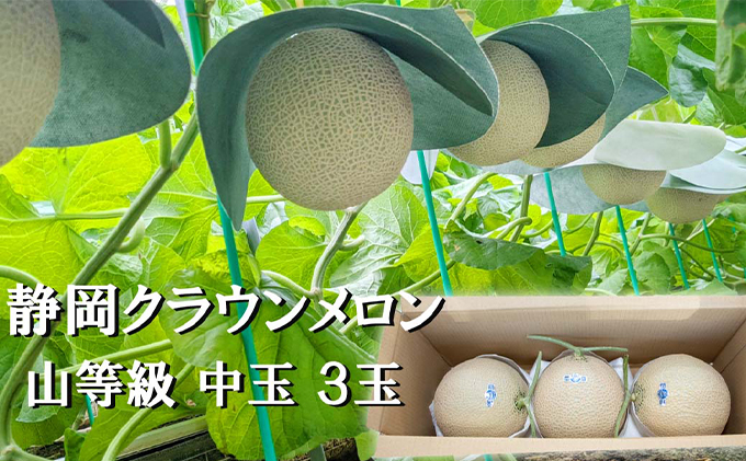 【静岡県袋井市】クラウンメロン 上 ( 山等級 ) 中玉 ( 1.3kg前後 ) 3玉入り メロン 果物 くだもの フルーツ マスクメロン デザート 青肉