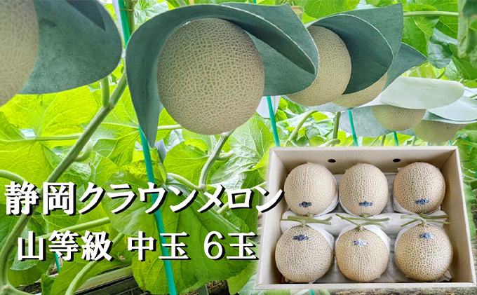 【静岡県袋井市】クラウンメロン【上(山等級)】中玉(1.3kg前後)6玉入り 人気 厳選 ギフト 贈り物 デザート グルメ 果物 袋井市 果物類 メロン青肉 フルーツ
