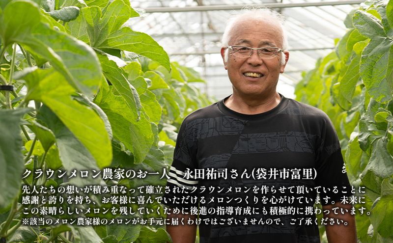 クラウンメロン【上（山等級）】中玉（1.3kg前後）1玉入り 人気 厳選 ギフト 贈り物 デザート グルメ 果物 袋井市 果物類 メロン青肉 フルーツ