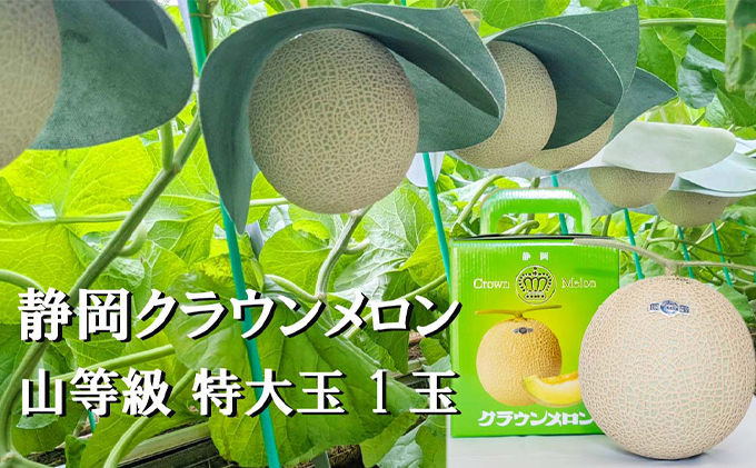 クラウンメロン【上（山等級）】特大玉（1.5kg前後）1玉入り 人気 厳選 ギフト 贈り物 デザート グルメ 果物 袋井市 果物類 メロン青肉 フルーツ