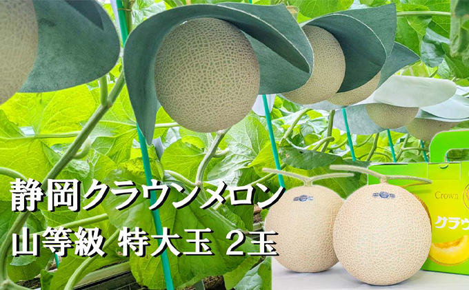 クラウンメロン【上（山等級）】特大玉（1.5kg前後）2玉入り 人気 厳選 ギフト 贈り物 デザート グルメ 果物 袋井市 果物類 メロン青肉 フルーツ