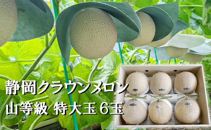 【静岡県袋井市】クラウンメロン【上(山等級)】特大玉(1.5kg前後)6玉入り 人気 厳選 ギフト 贈り物 デザート グルメ 果物 袋井市 果物類 メロン青肉 フルーツ