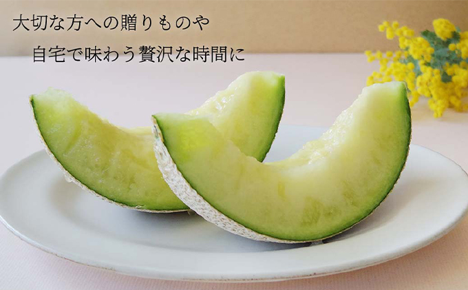 クラウンメロン【上（山等級）】特大玉（1.5kg前後）2玉入り 人気 厳選 ギフト 贈り物 デザート グルメ 果物 袋井市 果物類 メロン青肉 フルーツ
