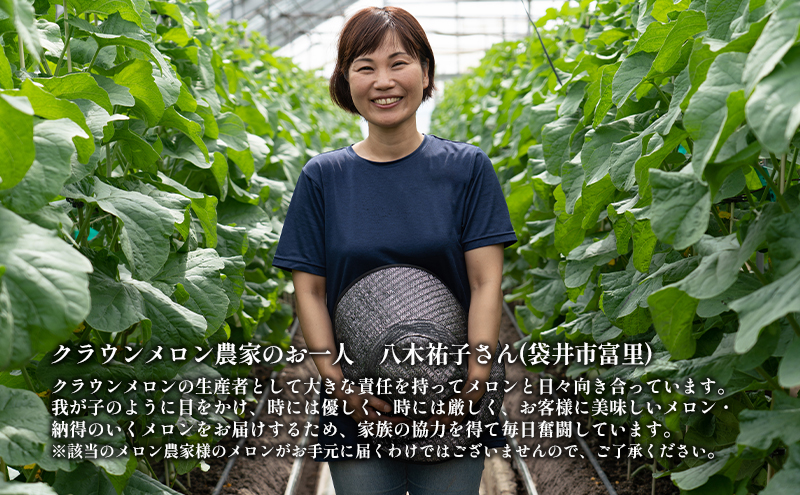 クラウンメロン【上（山等級）】特大玉（1.5kg前後）6玉入り 人気 厳選 ギフト 贈り物 デザート グルメ 果物 袋井市 果物類 メロン青肉 フルーツ