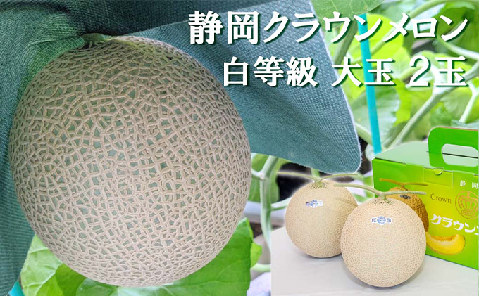 【静岡県袋井市】クラウンメロン【並(白等級)】大玉(1.4kg前後)2玉入り 人気 厳選 ギフト 贈り物 デザート グルメ 果物 袋井市 果物類 メロン青肉 フルーツ