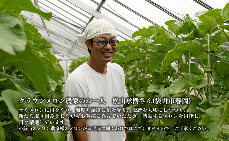 クラウンメロン【並（白等級）】大玉（1.4kg前後）6玉入り 人気 厳選 ギフト 贈り物 デザート グルメ 果物 袋井市 果物類 メロン青肉 フルーツ