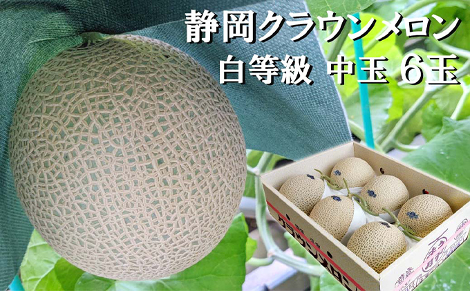 【静岡県袋井市】クラウンメロン【並(白等級)】中玉(1.3kg前後)6玉入り 人気 厳選 ギフト 贈り物 デザート グルメ 果物 袋井市 果物類 メロン青肉 フルーツ