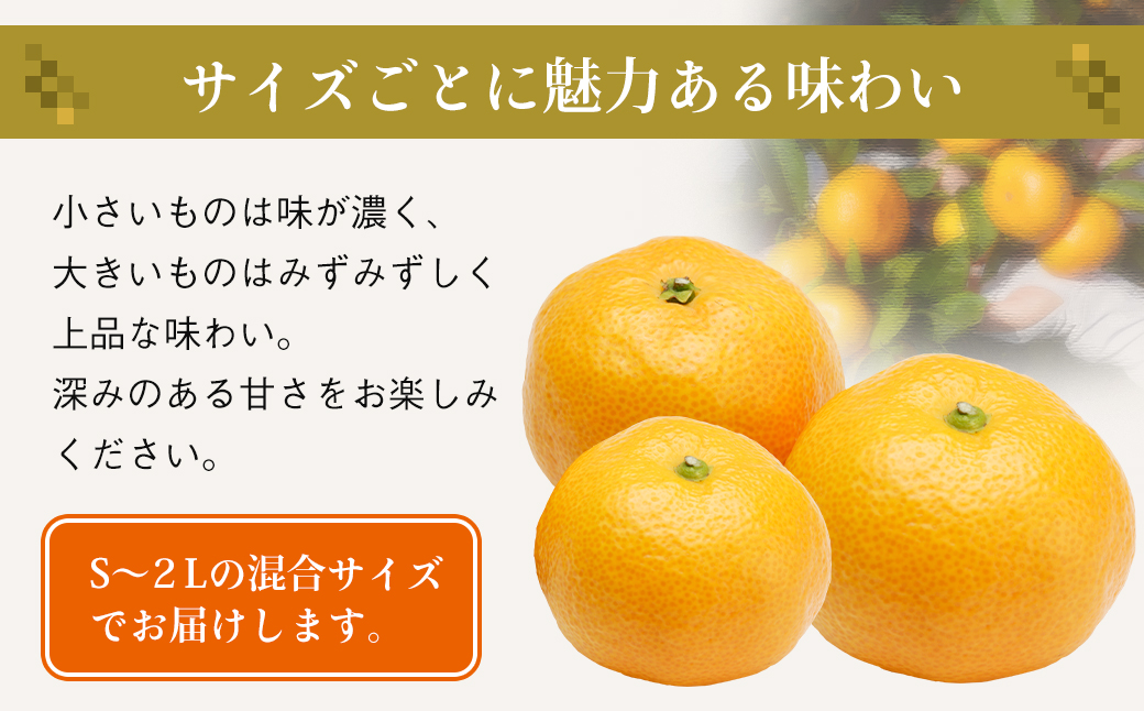 片山農園の淡路島みかん(温州みかん)7.5kg【サイズいろいろS～2Lサイズ】