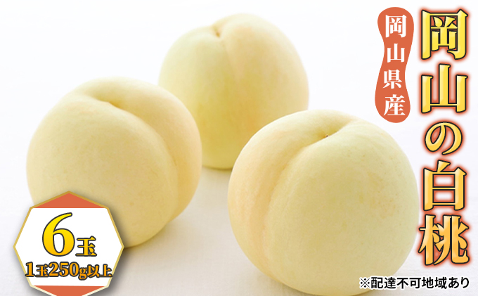 �y���R���ʖ�s�z�� 2026�N ��s�\�� ���� 6�ʁi1��250g�ȏ�j ���� ���� ���R���Y ���Y �t���[�c �ʕ� �M�t�g �ʕ���