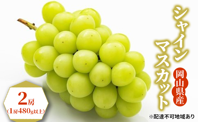 �y���R���ʖ�s�z�Ԃǂ� 2026�N ��s�\�� �V���C�� �}�X�J�b�g 2�[�i1�[480g�ȏ�j �u�h�E ����  ���R���Y ���Y �t���[�c �ʕ� �M�t�g �ʕ��� �V���C���}�X�J�b�g