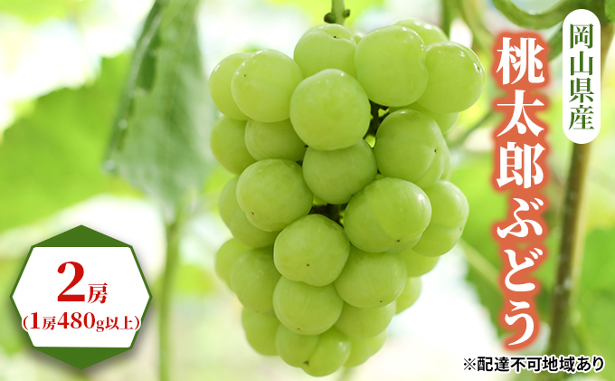 yRʖszԂǂ 2026N s\ Y Ԃǂ 2[i1[480gȏj uhE   RY Y t[c ʕ Mtg